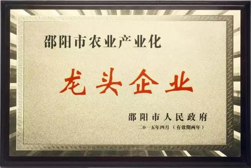 新邵县杨家坳食品 朱鸿欣打造的 十一生产队 湖湘品牌名扬天下