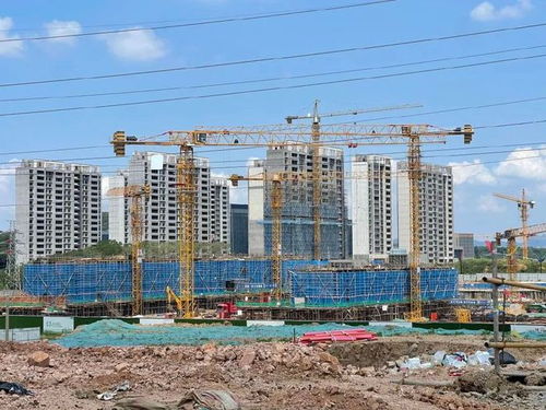 南京楼市 汇通路能不能 破局 牡丹大观天下项目考察日记