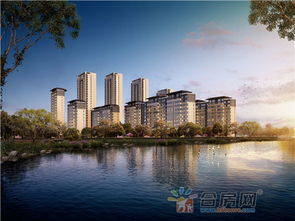 最新消息 新站区少荃湖大坝改造工程正式启动