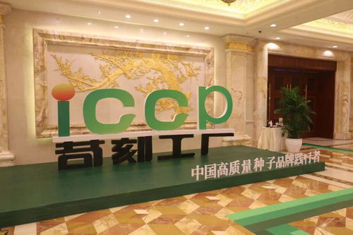 明创优品 龙行天下 明天种业高端品牌iccp苛刻工厂横空出世