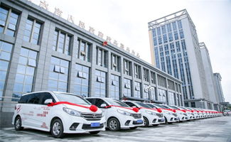 传承华夏文明,展中国智造卓越形象 文化传播使者 上汽大通助力 己亥年公祭伏羲大典