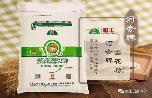 河套特色农产品互联网上闯天下