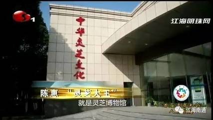 【强毅力行 通达天下】通商风采录--“灵芝大王”陈惠