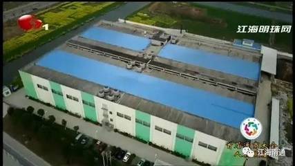 强毅力行 通达天下——“灵芝大王”陈惠的通商风采